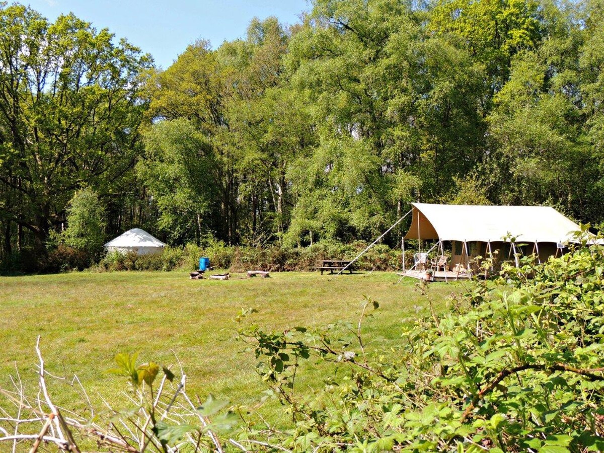 DriftAway Glamping - woodland yurt or safari tent