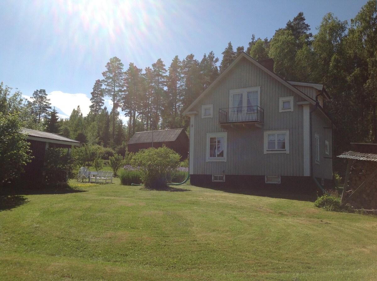宽敞的独立瑞典乡村小屋