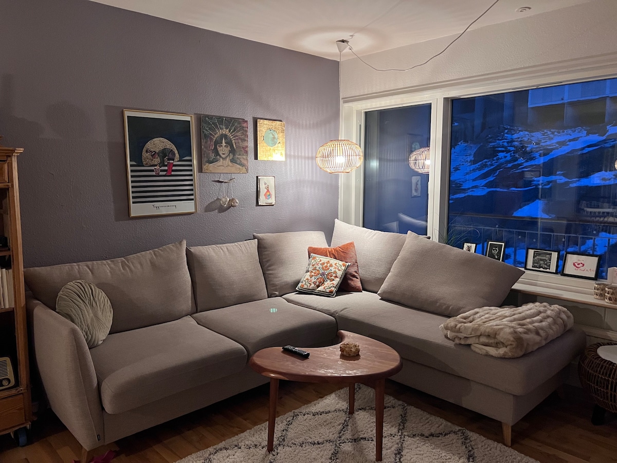 努克（ Nuuk ）中心舒适的单卧室公寓