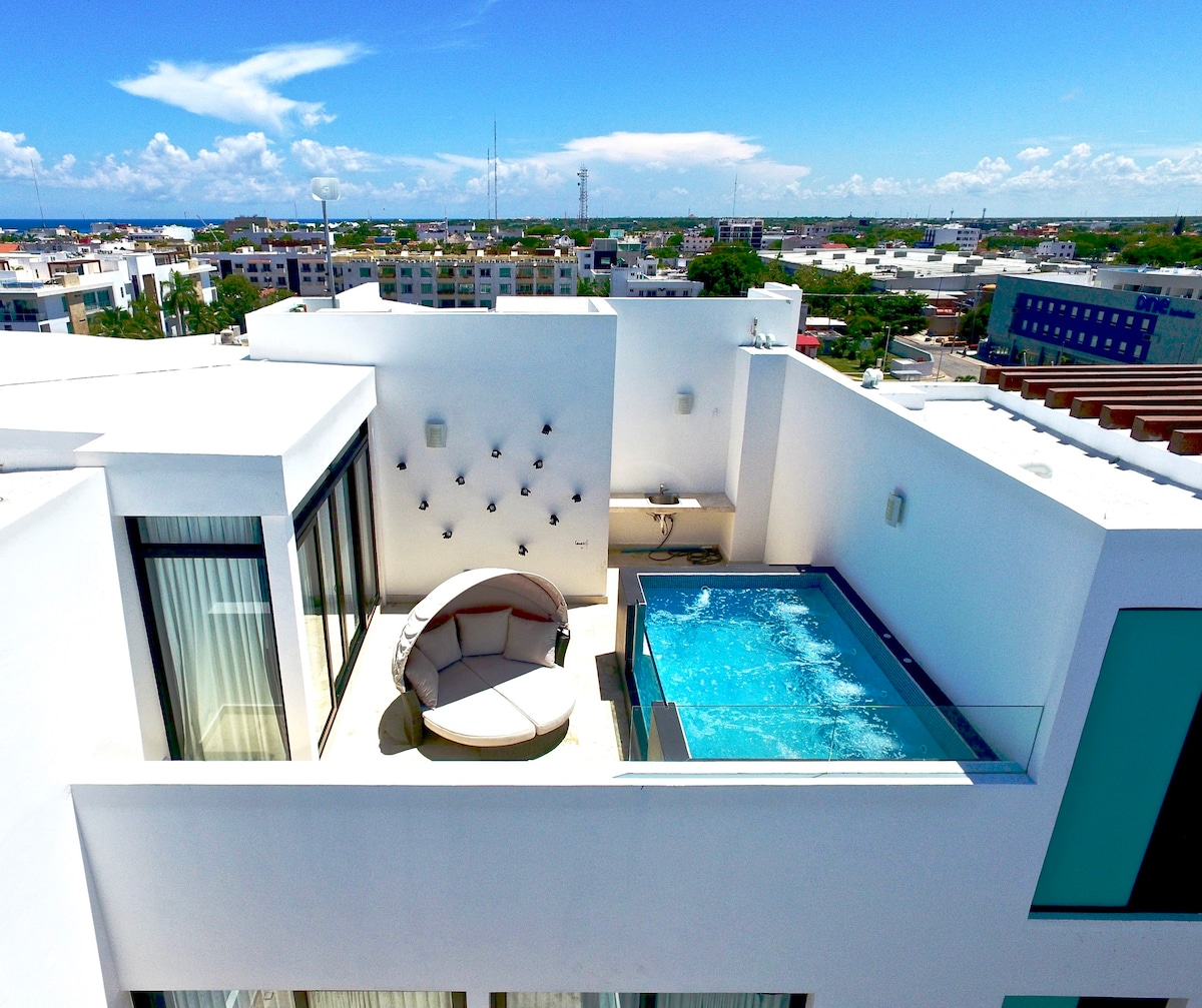 豪华两层顶层公寓，设有私人泳池。