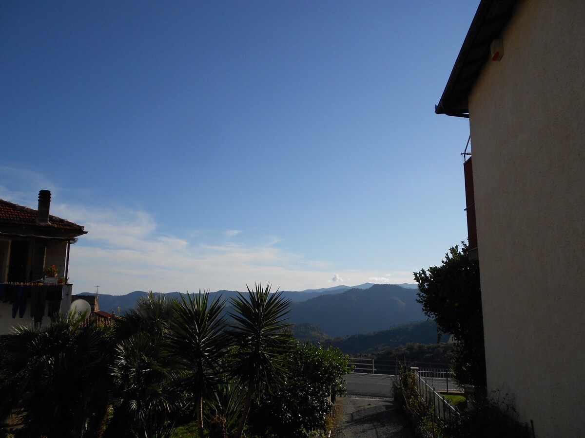 Serenita' tra gli ulivi (Arnasco-Savona) Italy