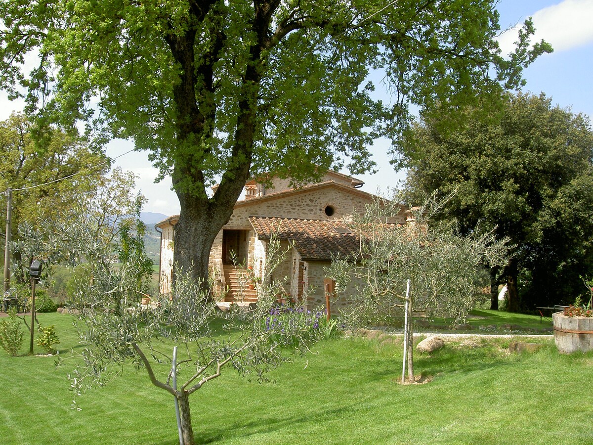 Colonnellihouse Torretta