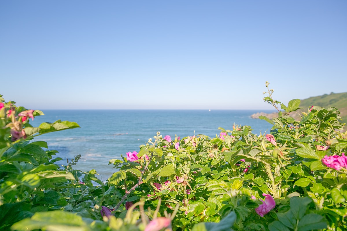 蜥蜴半岛西南海岸小径的海滨房源