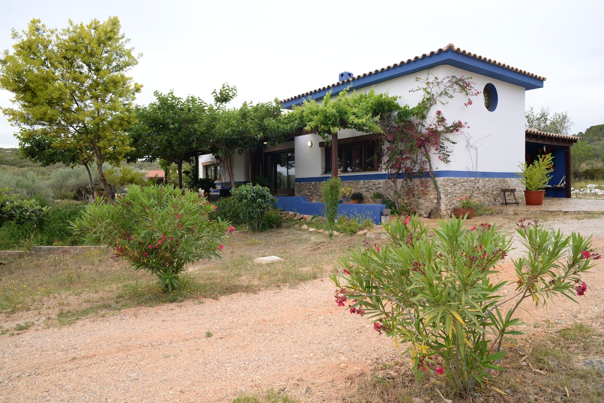 Fantastic house in the country near the sea