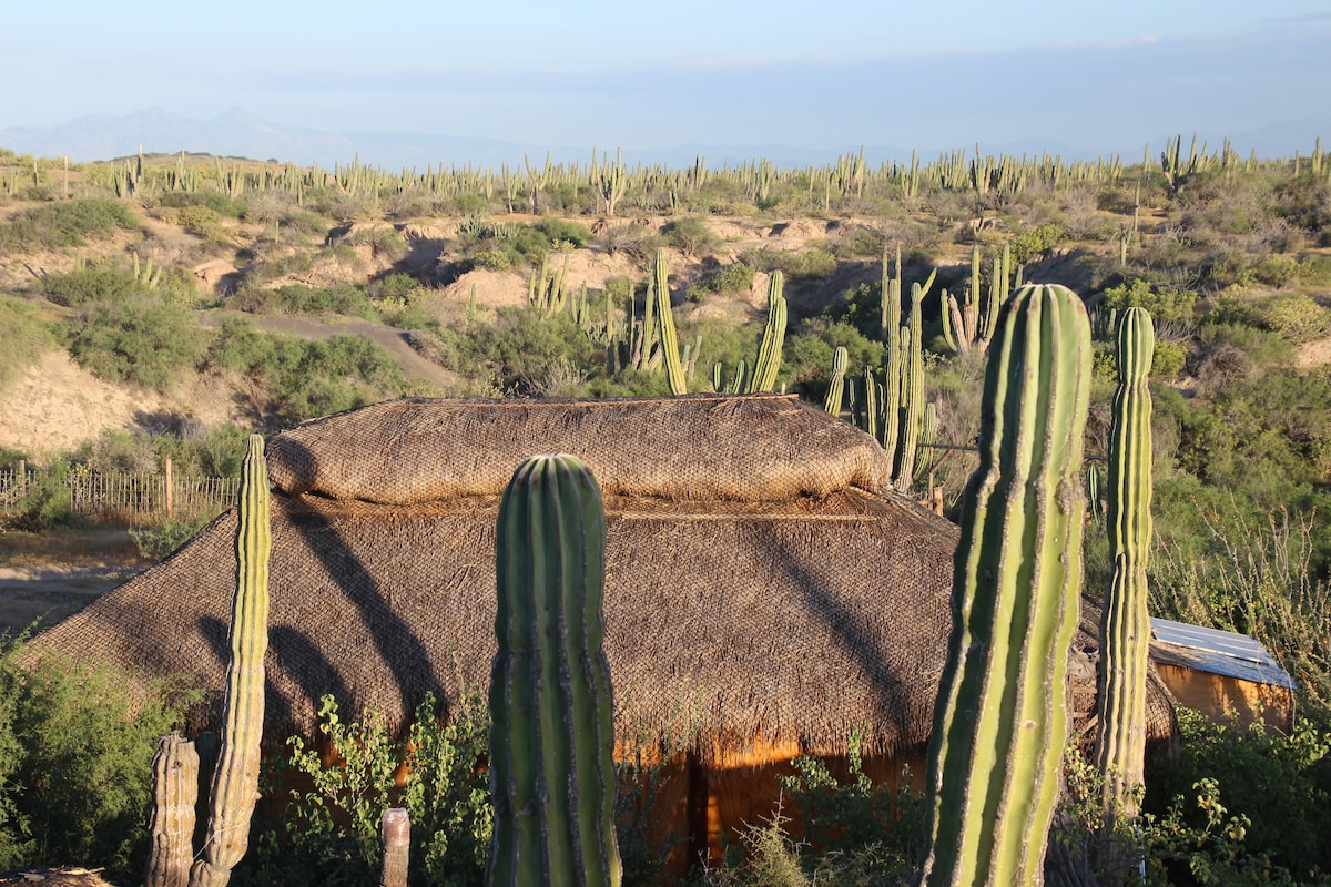 Cactimar Offgrid生态分店平房， 2分钟可达海滩