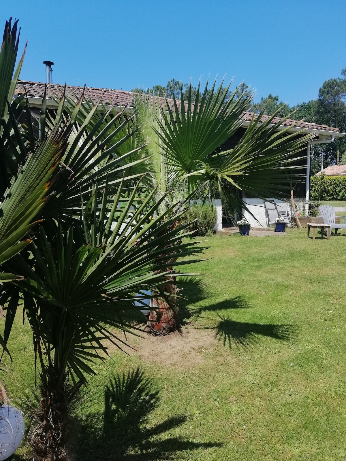 Les Deux Palmiers。翻修后的F1 28平方米，带花园