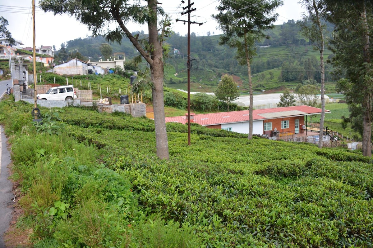 Bougainvilla Stay-Kattabettu。 这栋漂亮的房子位于风景如画的Kattabettu ，非常靠近Kotagiri、Nilgiris。 这是一间双人房，配有洗手间。早餐是免费的。