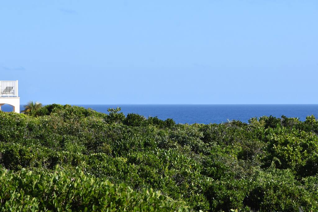 the windward side of long island as seen from the deck.