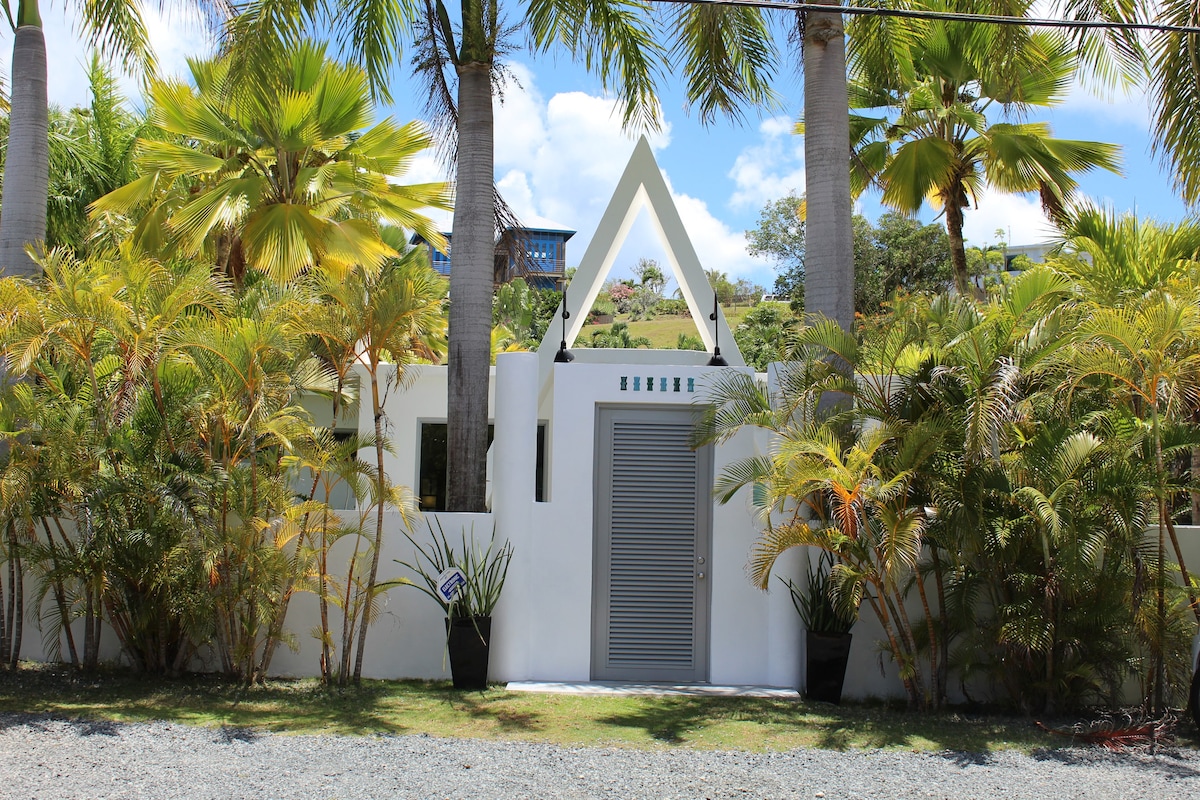 棕榈乡村小屋-郁郁葱葱的热带泳池小屋