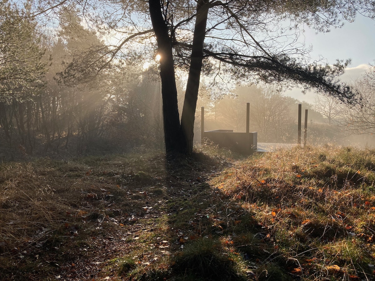 Bjælkehytte med skovidyl i Himmerland