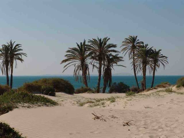 Borj Cédria, Tunisia的民宿