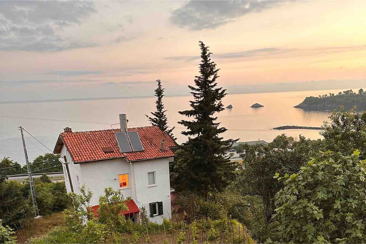 Plaja yakın triplex villa - Tirebolu