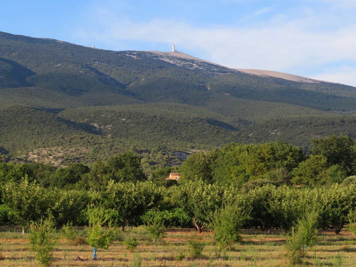 位于文图山（ Mt Ventoux ）山脚下的乡村别墅