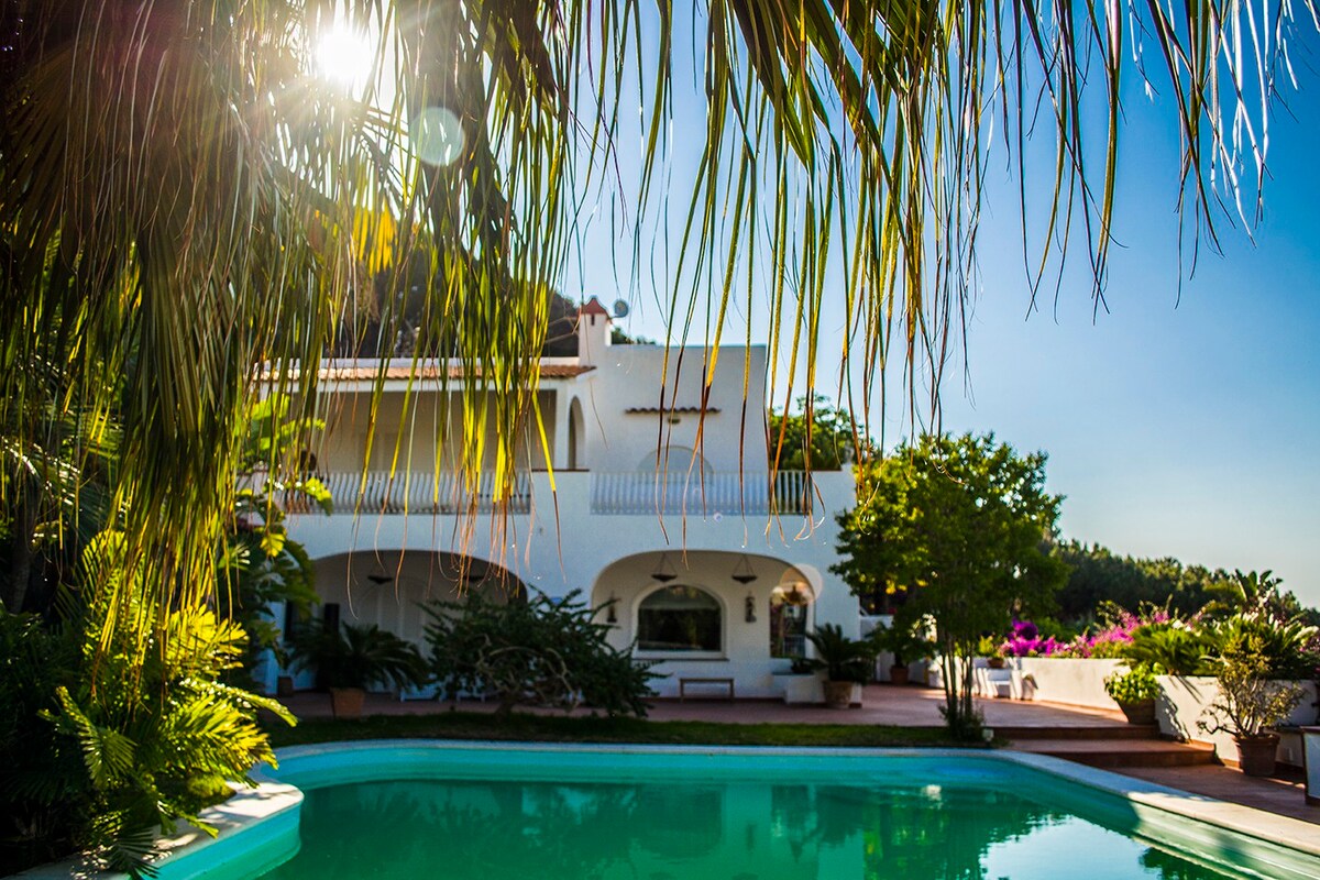 独家别墅，带私人泳池- Villa Enaria