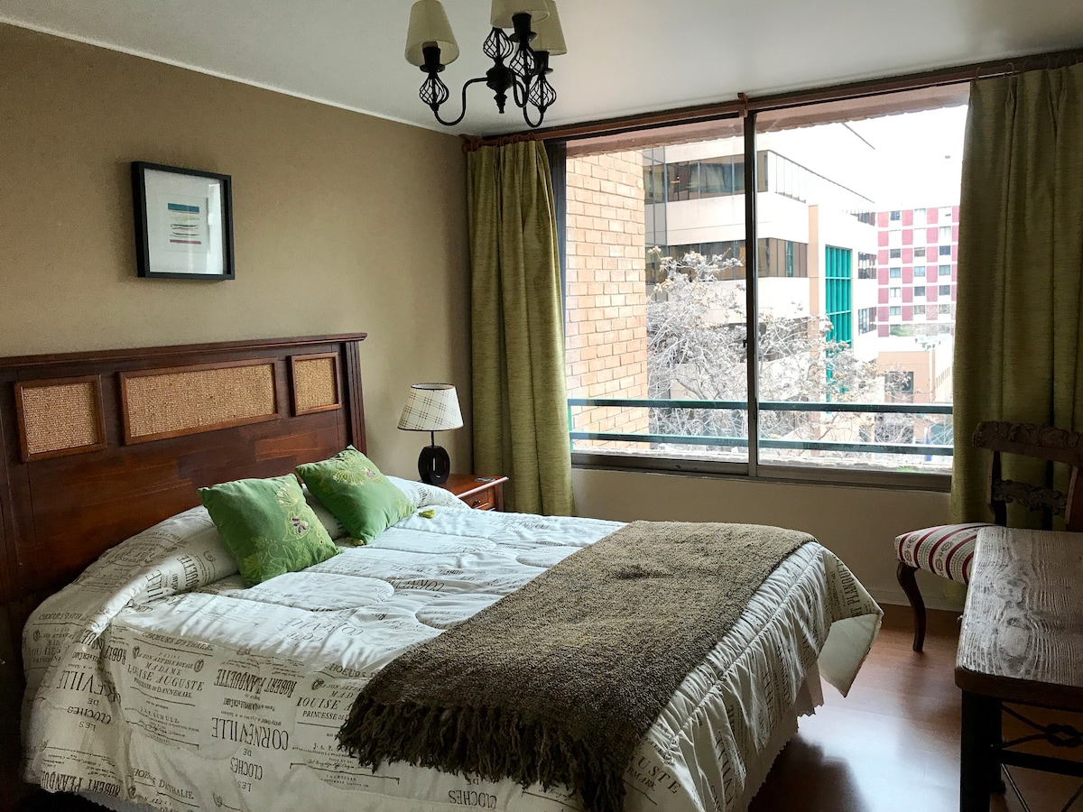 舒适的公寓，距离科斯塔内拉中心（ Costanera Center ）仅