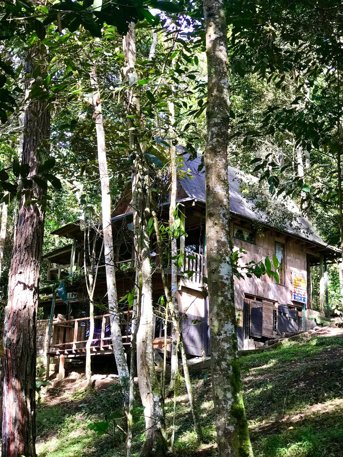 Casa del bosque