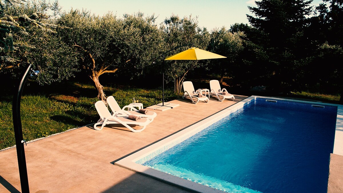 Olive Ranch Apartment Pula - House with POOL