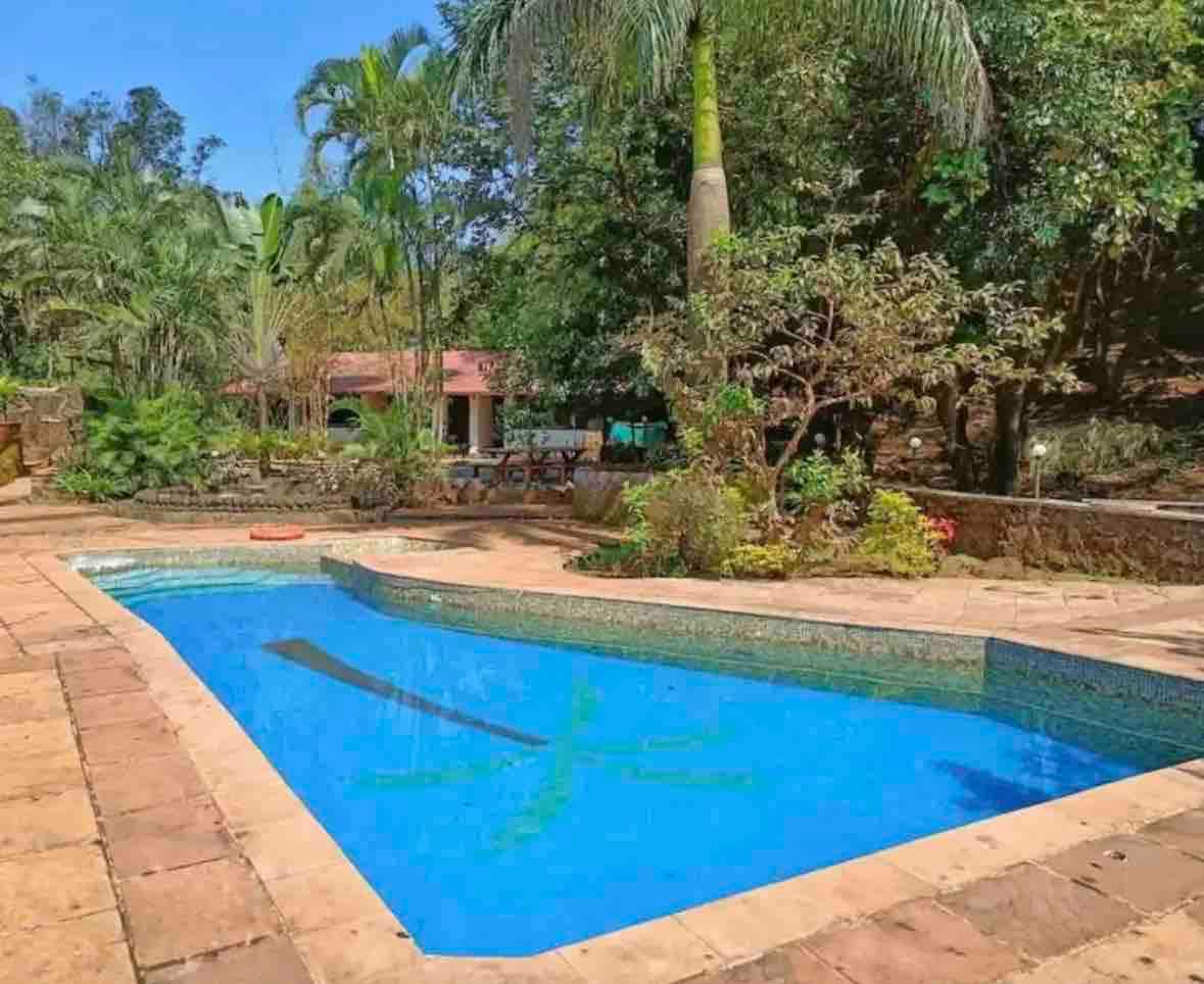Forest cottage | Fast wifi, Pool, Nature Trails
