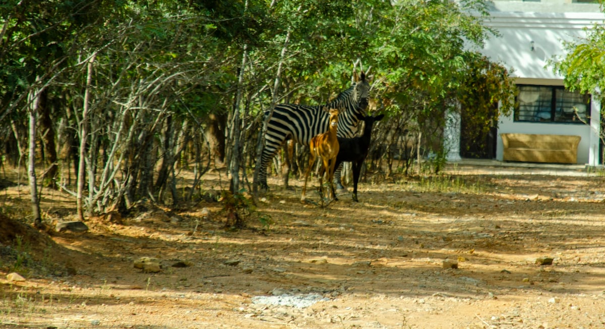 Nsunge Farm and Natural Resort with game animals