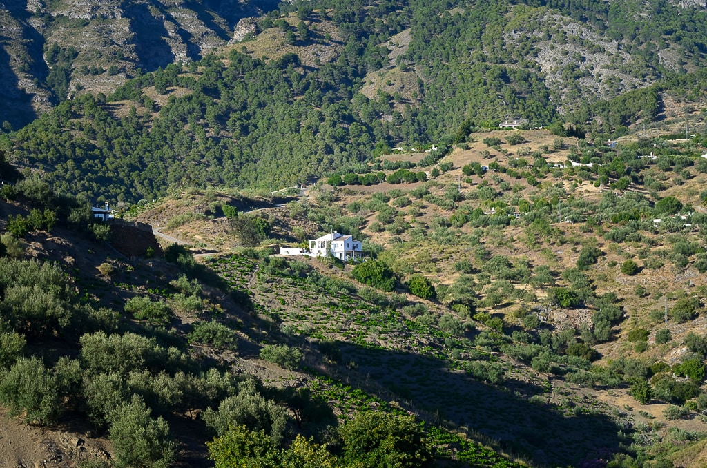 山间度假胜地Casa Alzaytun。