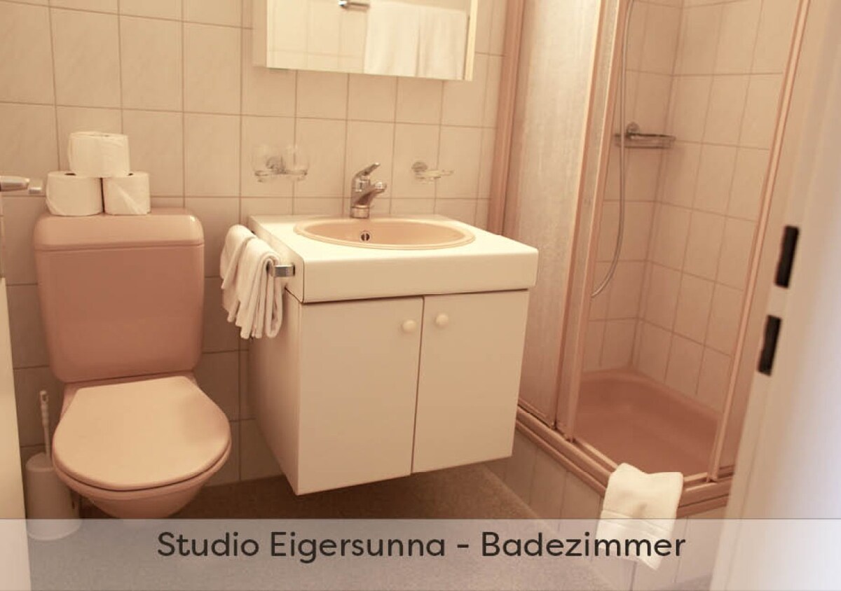 Studio Eigersunna with kingsize bed and terrace with mountain view in the heart of Grindelwald