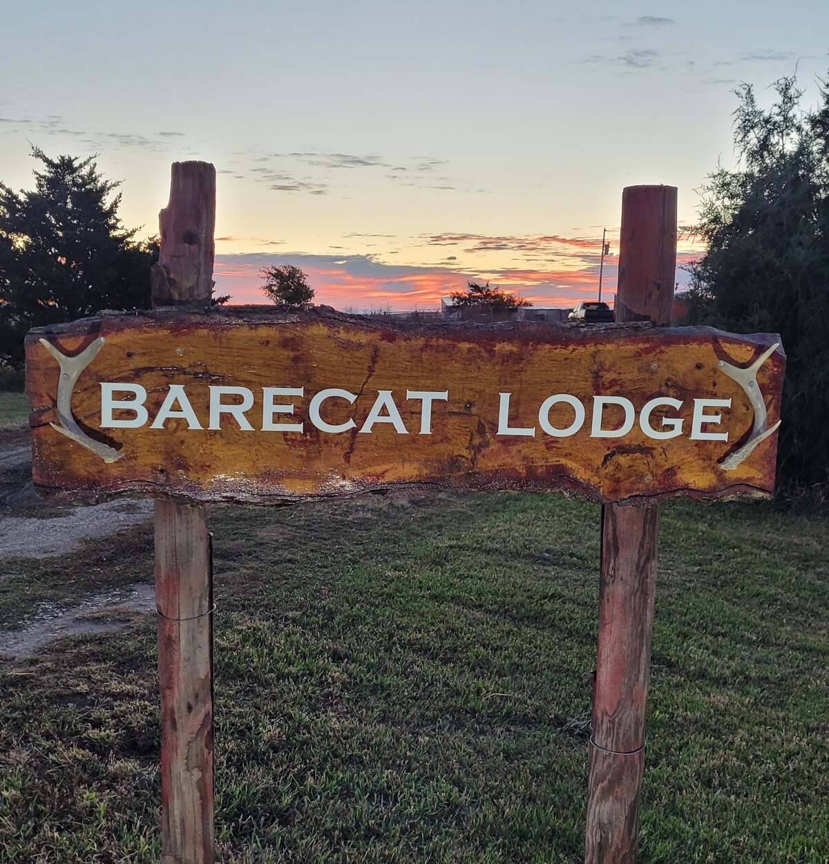 BareCat Lodge.