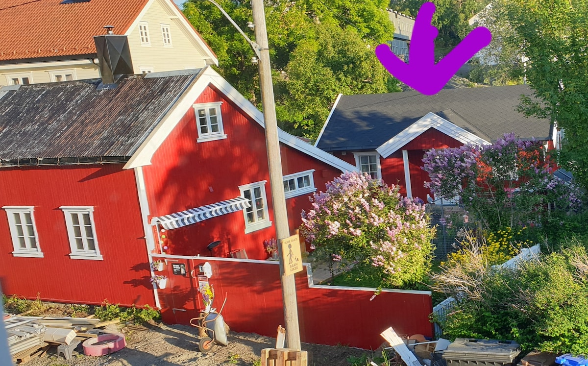 Smevik Airbnb