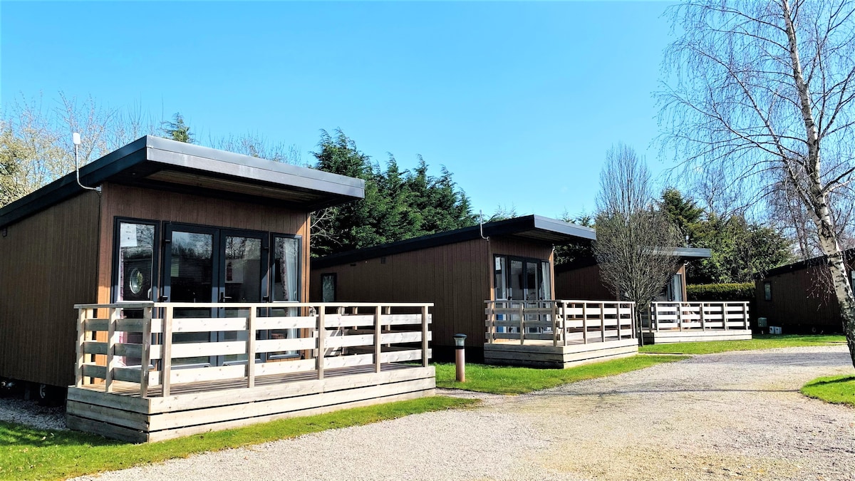 Pet Friendly Glamping Hive at Wild Rose