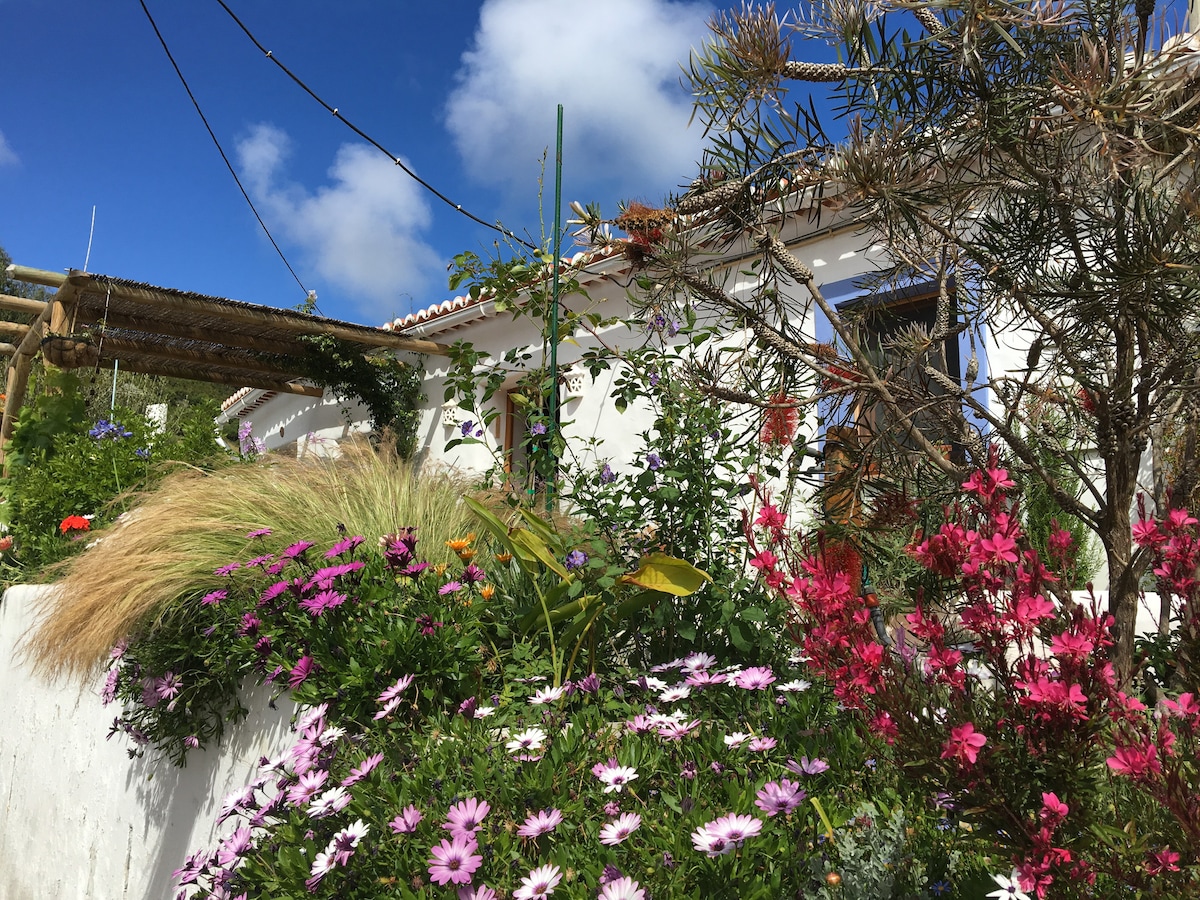 Casa das Flores