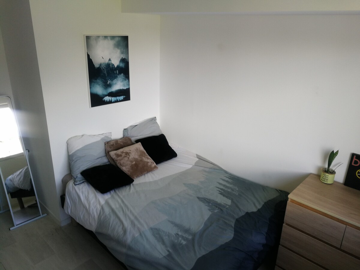 Appartement lumineux spacieux cosy