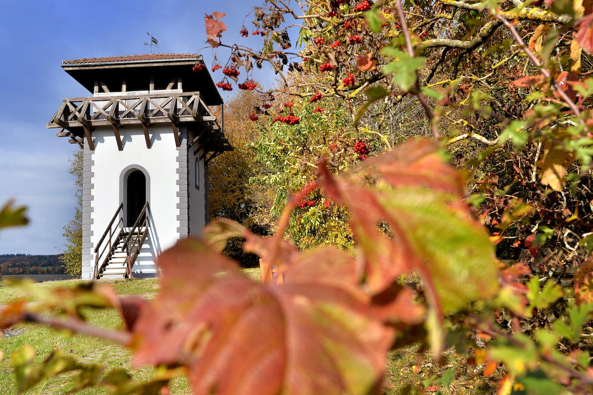 亲近大自然的罗马塔（ Roman Tower ）公寓，注重细节