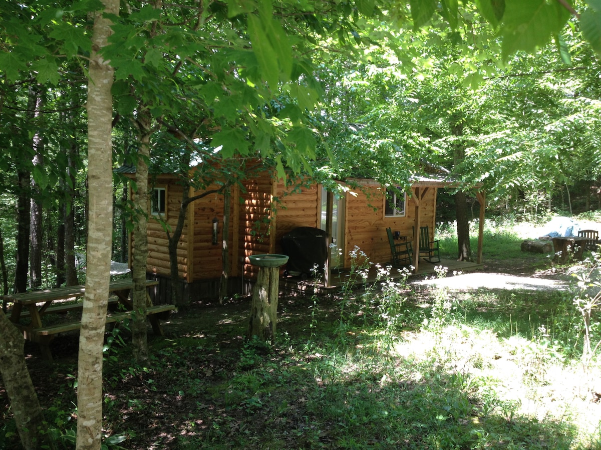 Forest Cabin at Sinking Creek