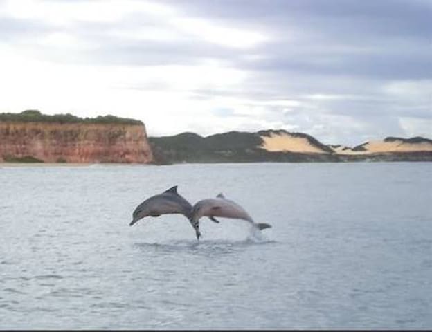 Tibau do Sul的民宿