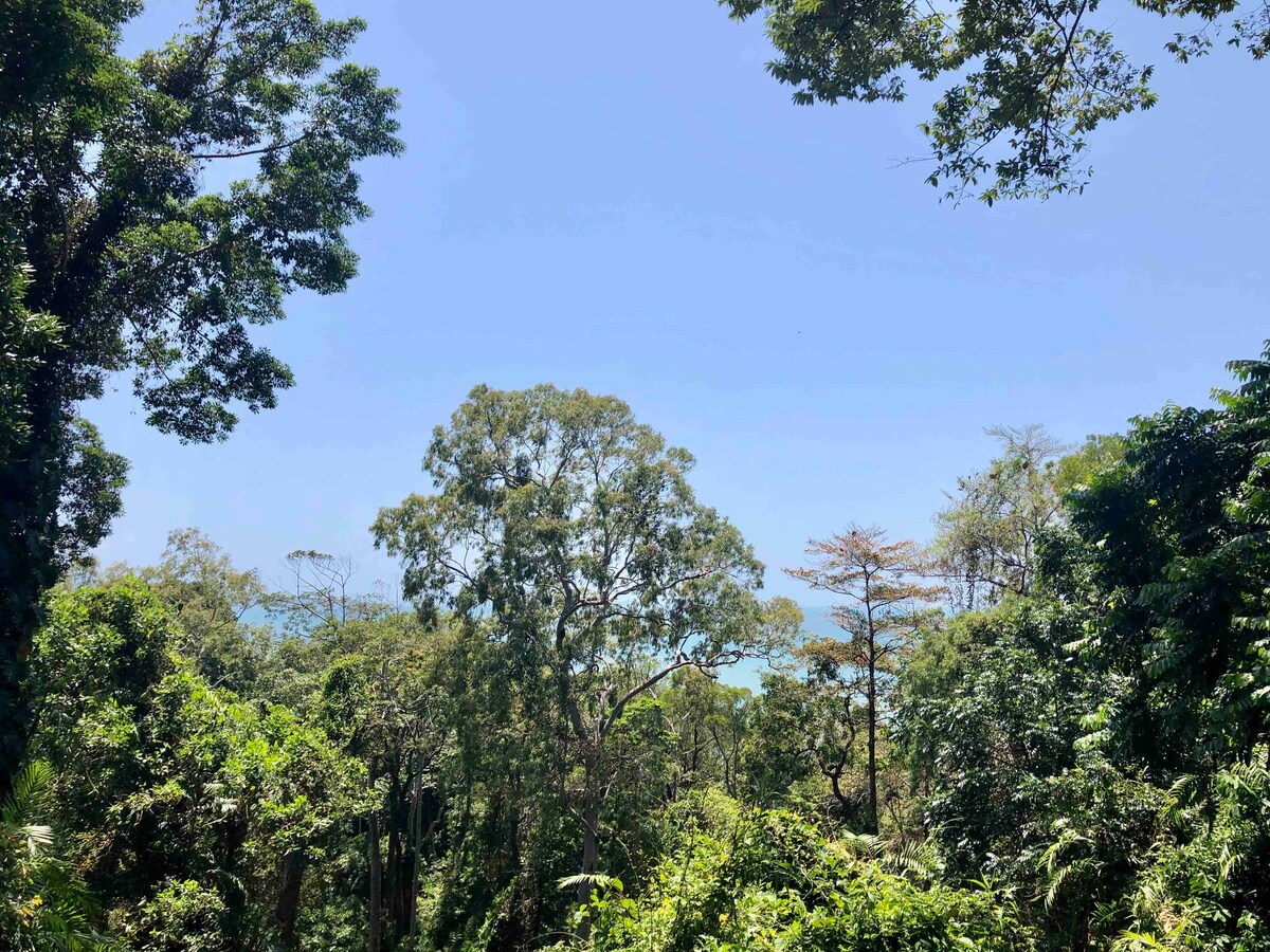 Sky at Gunnadoo: rainforest, ocean with jacuzzi