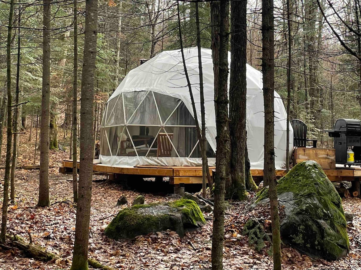 森林度假屋-树冠-森林中的圆顶屋