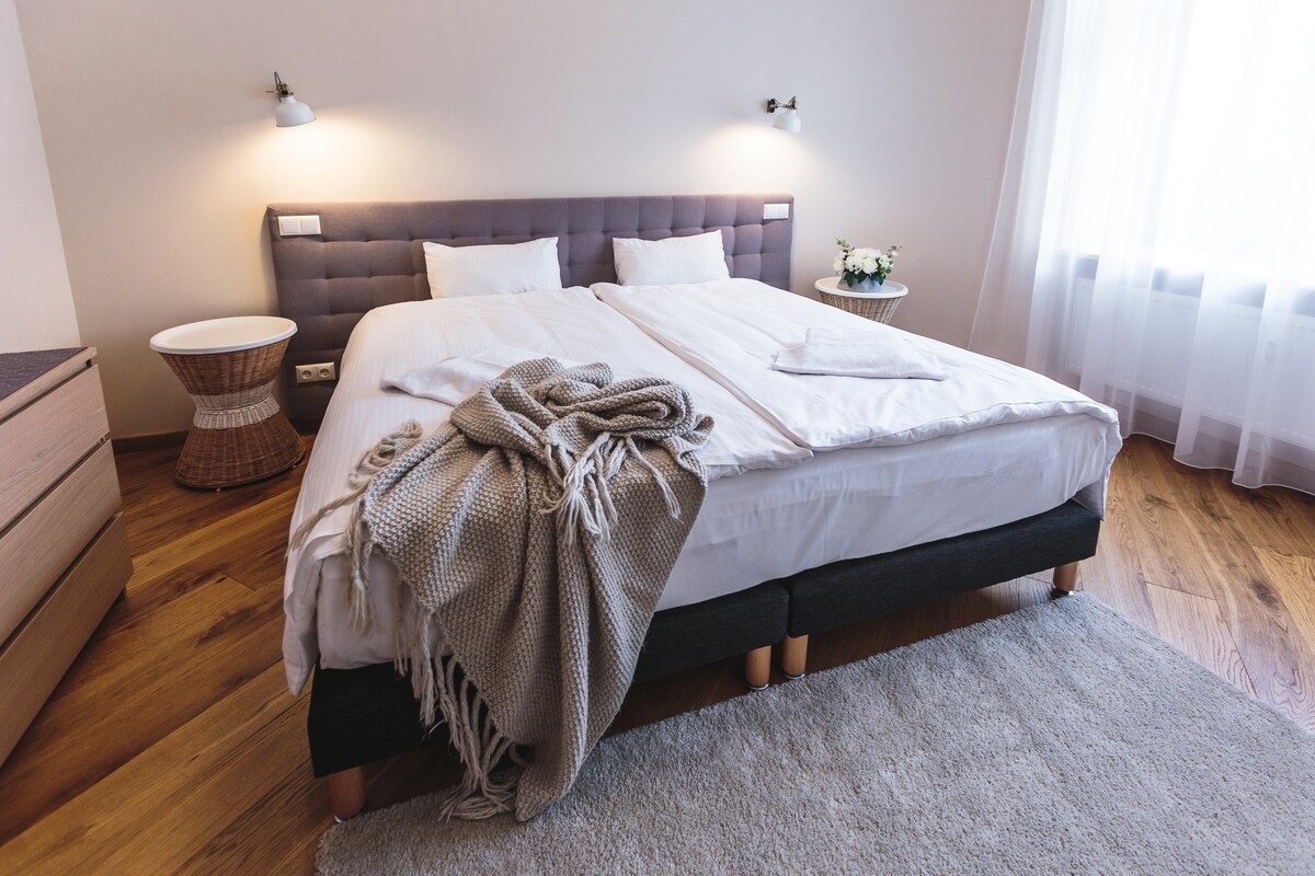 RIGA LUX APARTMENTS - SKOLAS: Premium one bedroom