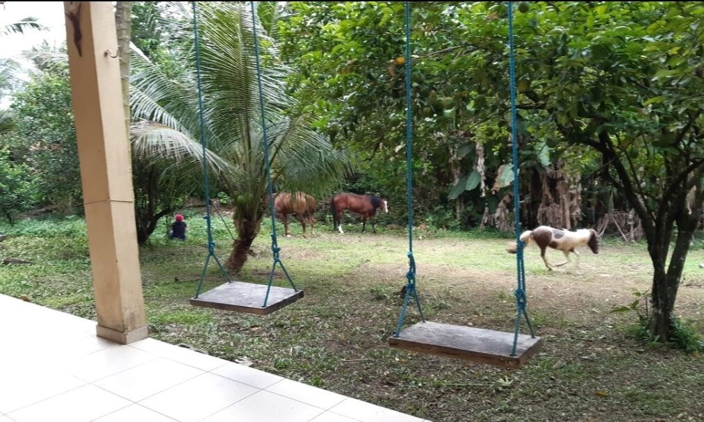 Chácara Santa Bárbara Manaus - Casa de campo