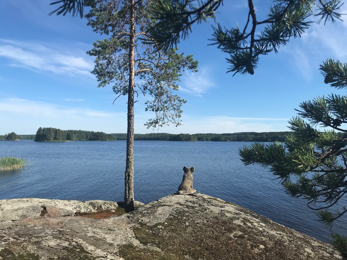 Mökki järven rannalla 25 km Kuopiosta.