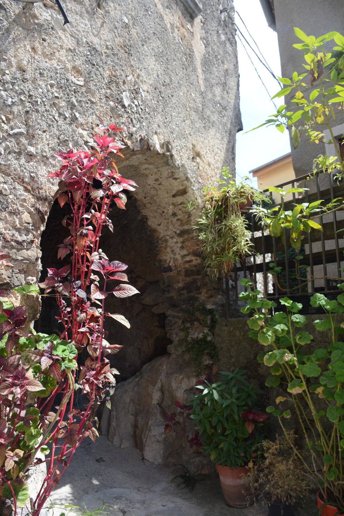 Casa vacanze Cilento - Morigerati