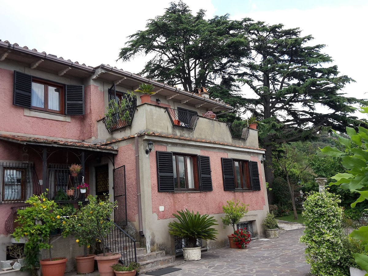 B&B Fiorella on Lake Castel Gandolfo （罗马）