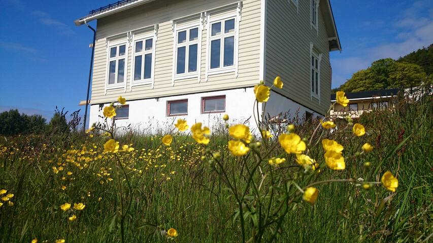Sande kommune的民宿