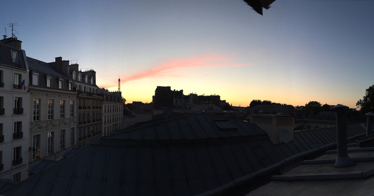 巴黎市中心景观埃菲尔铁塔（ EIFFEL Tower ）典型的顶棚