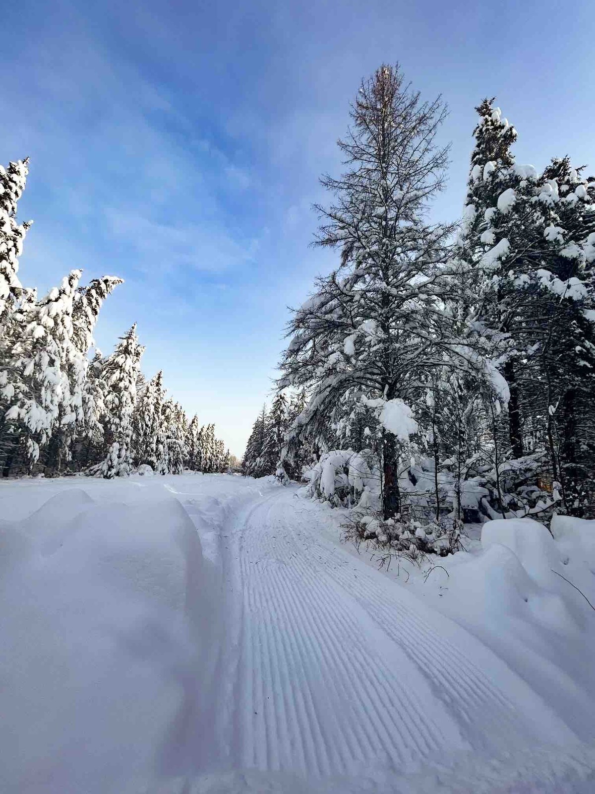 Bike/ATV/Ski from Driveway! Red Fox Loft!