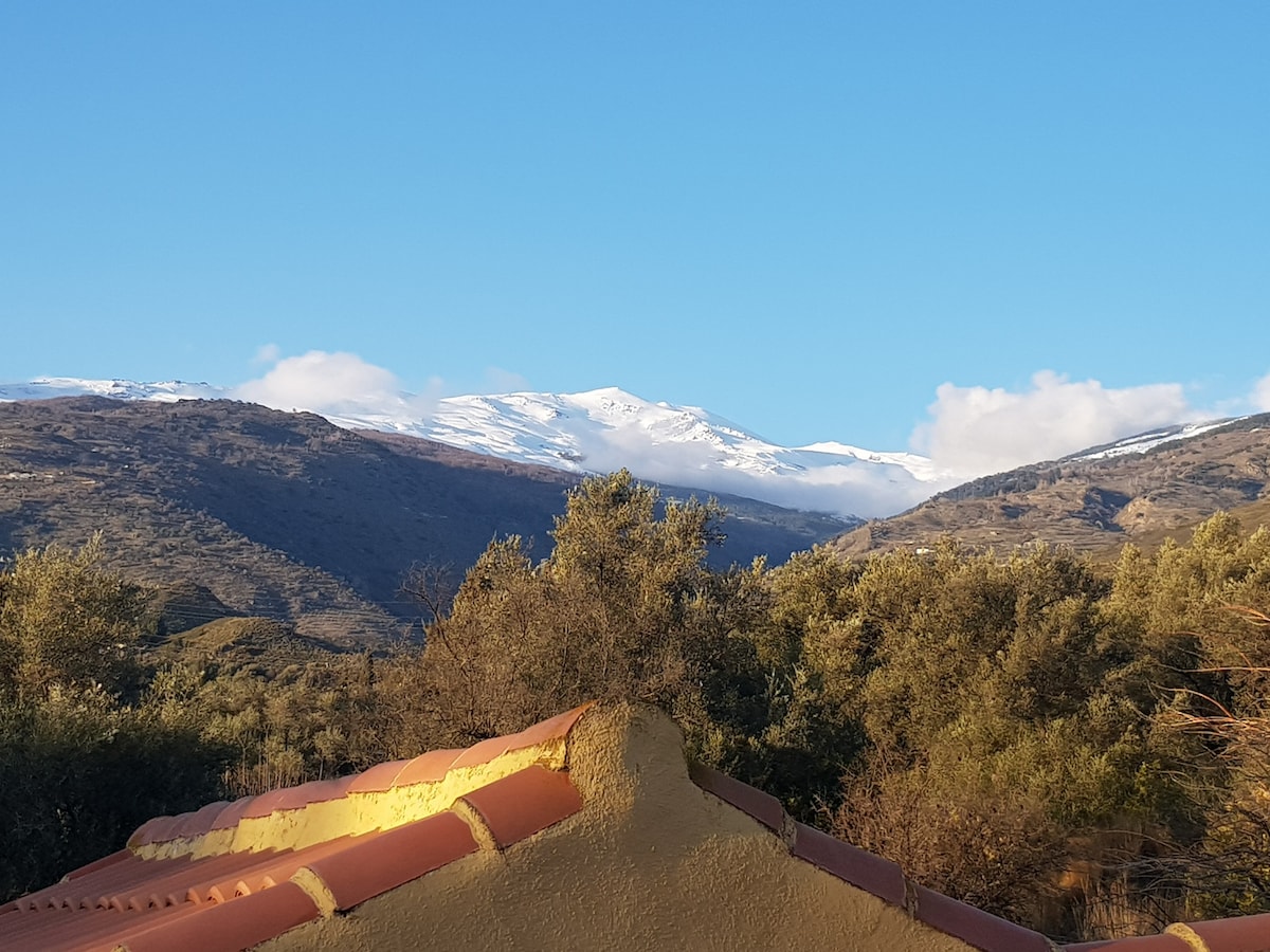 Casa Amarilla, peace & paradise in the Alpujarras