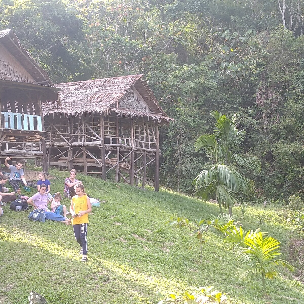 Sumatra orang utan探险和丛林小屋