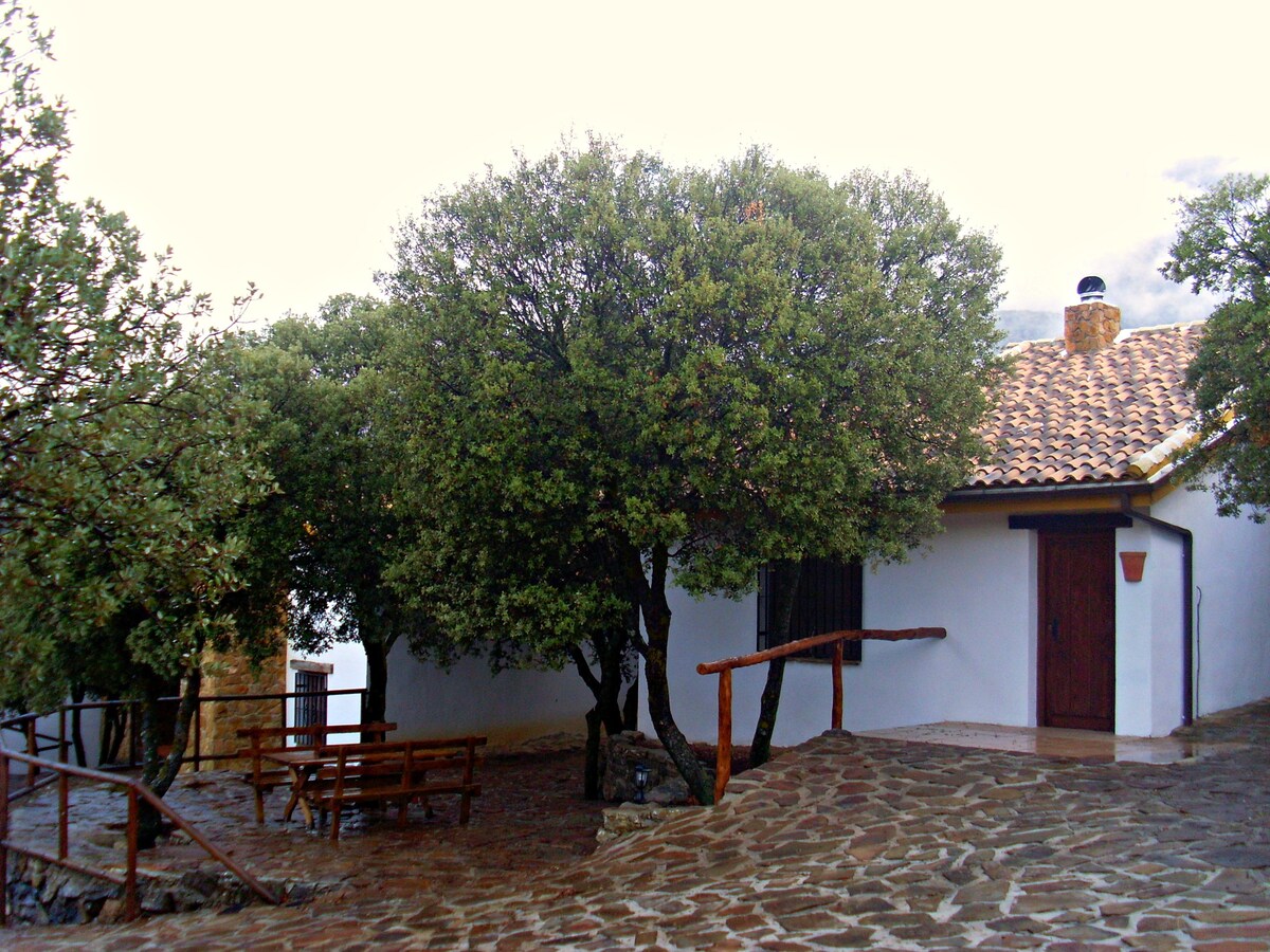 CASA RURAL ALMADEN - CORTIJOS EL ENCINAR S.L.