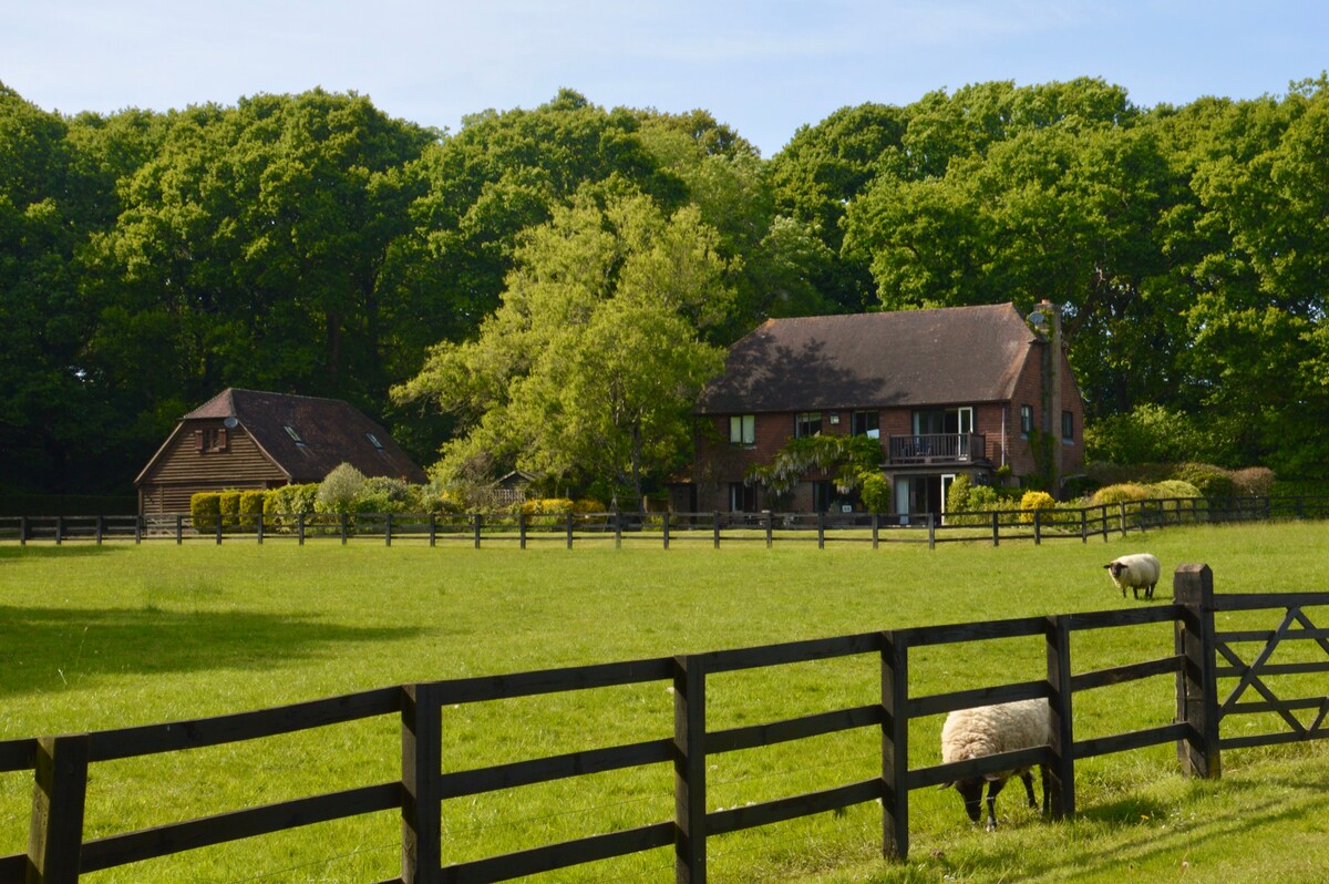 The Annex, Graffham, South Downs National Park