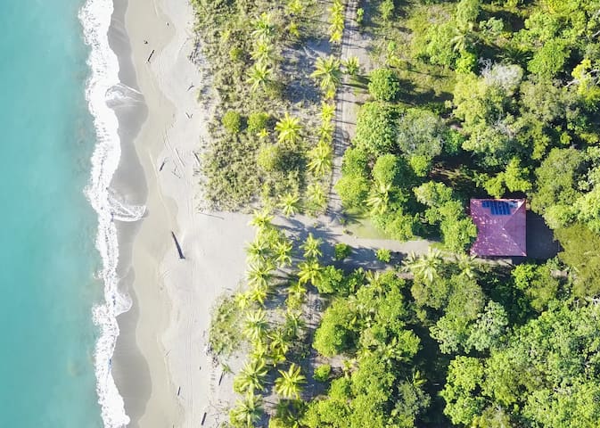 Puerto Jimenez的民宿