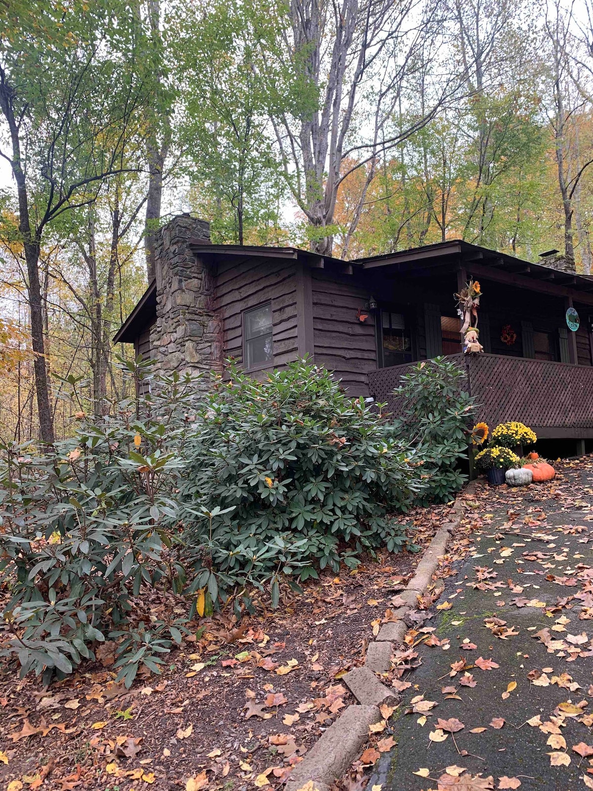 Granny Cole 's Cabin in Maggie Valley NC