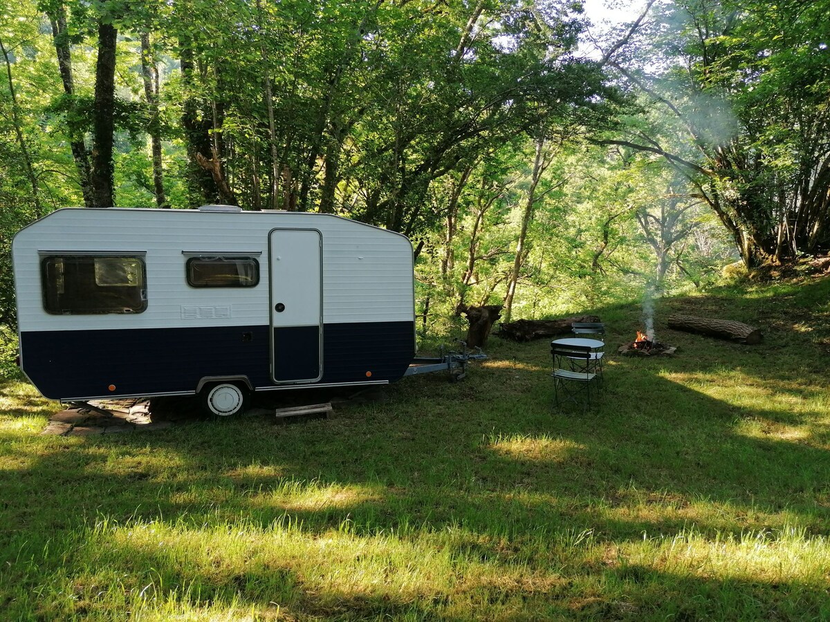 Charmante caravane au calme